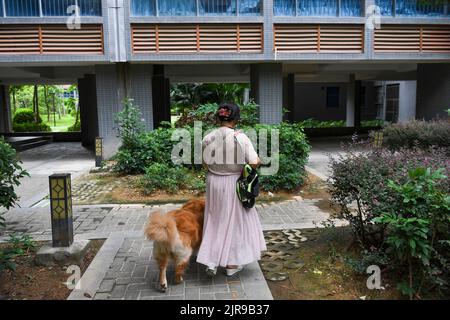 Guangdong, province chinoise de Guangdong. 19th août 2022. Zhang Li et son chien-guide Man Yue arrivent chez eux à Huizhou, dans la province de Guangdong, au sud de la Chine, le 19 août 2022. Zhang Li, une personne malvoyée, est retourné à Huizhou de Heyuan, dans la province de Guangdong, par train. L'accompagnant pendant le voyage était son chien guide, l'homme Yue.depuis 2017, l'homme Yue a été à de nombreux endroits avec Zhang Li et est devenu un membre de la famille de Zhang. Credit: Mao Siqian/Xinhua/Alamy Live News Banque D'Images