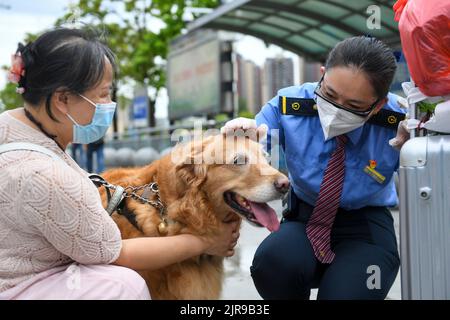 Guangdong, province chinoise de Guangdong. 19th août 2022. Le membre du personnel Sun Lina (R) touche le chien-guide Man Yue pour faire ses adieux à la gare sud de Huizhou, dans la province de Guangdong, au sud de la Chine, le 19 août 2022. Zhang Li, une personne malvoyée, est retourné à Huizhou de Heyuan, dans la province de Guangdong, par train. L'accompagnant pendant le voyage était son chien guide, l'homme Yue.depuis 2017, l'homme Yue a été à de nombreux endroits avec Zhang Li et est devenu un membre de la famille de Zhang. Credit: Mao Siqian/Xinhua/Alamy Live News Banque D'Images