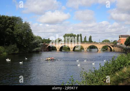 Ramers sur la rivière Severn à Worcester, Angleterre, Royaume-Uni. Banque D'Images