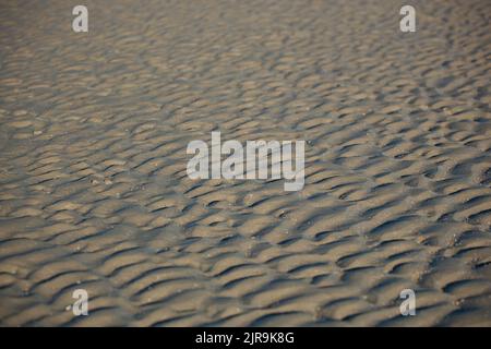 L'océan a laissé des marques des courants sur le sable jaune. Le soleil projette des ombres et donne un volume de relief aux motifs linéaires. Banque D'Images