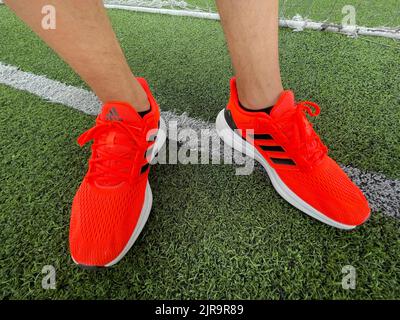 Tyumen, Russia-13 août 2022: Nouvelles chaussures de course à pied Adidas, couleur corail orange, course eq21. Banque D'Images