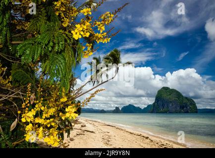 Magnifique paysage à Las Cabañas Beach, El Nido, Palawan, Philippines Banque D'Images