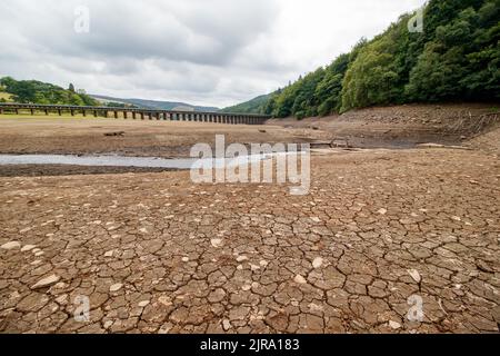 Le niveau d'eau est réduit à un petit ruisseau à l'extrémité supérieure du réservoir Ladybower, près du centre d'accueil. Le réservoir Ladybower pendant le temps sec et la sécheresse de l'été 2022. Ladybower Reservoir est un grand réservoir artificiel en forme de y, le plus bas de trois dans la vallée supérieure du Derwent, dans le Derbyshire, en Angleterre. Banque D'Images