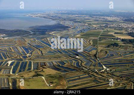 Département de la Charente-Maritime (centre-ouest de la France) : vue aérienne d'une partie de l'île "ile de Re" et de ses marais salants Banque D'Images