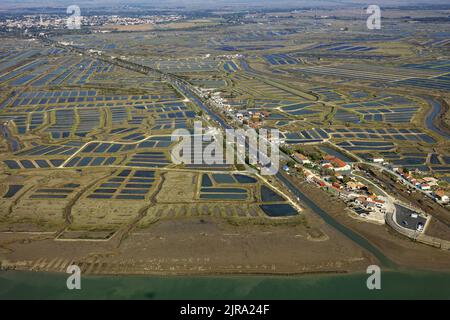 Marennes-Hiers-Brouage (centre-ouest de la France) : vue aérienne de la ville de Marennes et de son port dans l'estuaire de la Seudre Banque D'Images