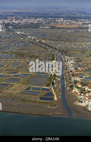 Marennes-Hiers-Brouage (centre-ouest de la France) : vue aérienne de la ville de Marennes et de son port dans l'estuaire de la Seudre Banque D'Images