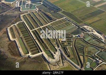 Ile de Re', Île de Rhe (au large des côtes de l'ouest de la France) : vue aérienne des marais salants dans la partie occidentale de l'île Banque D'Images