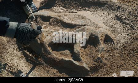 De dessus de la récolte personne en gants à l'aide de brousse et de brucelles pour creuser hors du crâne de dinosaure tout en travaillant sur le site archéologique préhistorique Banque D'Images