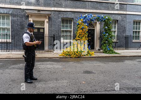 Londres, Royaume-Uni. 23 août 2022 . Un policier se tient devant la porte du 10 Downing Street décoré de décorations de tournesol pour marquer le jour de l'indépendance de l'Ukraine le 24 août. Credit. amer ghazzal/Alamy Live News Banque D'Images