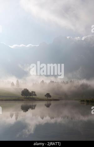 L'Allemagne, la Bavière, la rive du lac Schmalensee enveloppé dans un épais brouillard d'automne avec des montagnes à peine visibles en arrière-plan Banque D'Images