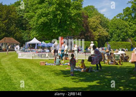 Spectateurs au match de cricket au château d'Arundel. Avec des pique-niques et des boissons. Arundel, West Sussex, Angleterre Banque D'Images