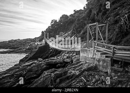 Une passerelle au large des ponts suspendus, suivant les hautes falaises dentelées le long de la côte de Tsitsikamma en Afrique du Sud, en noir et blanc. Banque D'Images