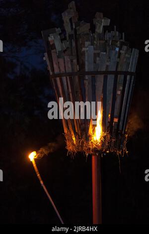 Un cliché vertical d'une torche tropicale flamboyante dans l'obscurité Banque D'Images