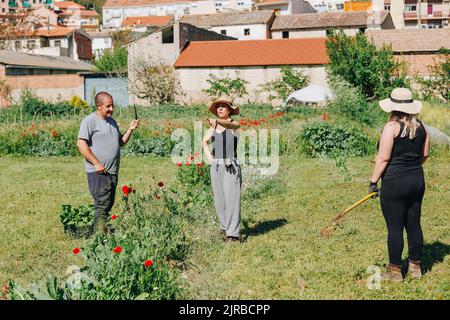 Agriculteur expliquant aux collègues debout sur le terrain par beau temps Banque D'Images