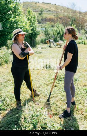 Les ouvriers agricoles debout avec des rakes discutant sur le terrain le jour ensoleillé Banque D'Images