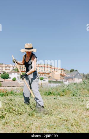 Ouvrier agricole avec terrain de nettoyage de râteau par temps ensoleillé Banque D'Images