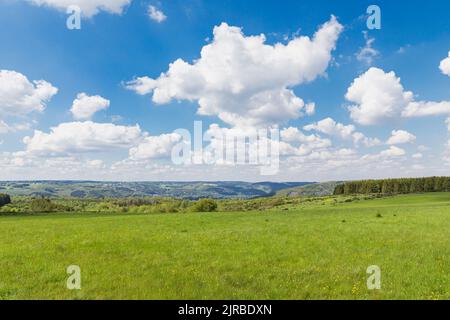 Paysage vert idyllique sous ciel nuageux, Parc National d'Eifel, Allemagne Banque D'Images