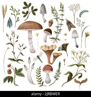 Éléments d'automne tels que les champignons, les baies et les insectes isolés. Imprimé tendance naturel Illustration de Vecteur