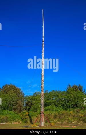 À 173 pieds de hauteur, le totem érigé à côté de la grande maison dans la région de Alert Bay peut se vanter d'être le plus haut du monde. Banque D'Images