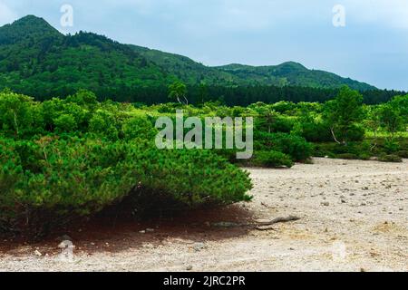 Paysage de l'île de Kunashir, tephra plage d'un lac chaud au fond du volcan de Golovnin caldera Banque D'Images