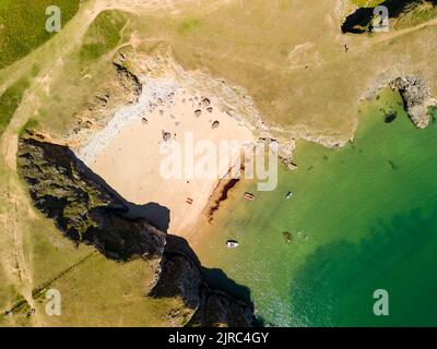 Vue aérienne de haut en bas d'une petite plage de sable et d'une crique dans l'ouest du pays de Galles (Pembrokeshire) Banque D'Images