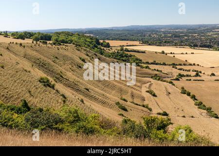 Les terrasses du Wiltshire après un temps sec prolongé pendant la vague de chaleur estivale en provenance du sommet de Westbury White Horse, Westbury, Wiltshire, Angleterre, Royaume-Uni Banque D'Images