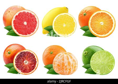 mélange d'agrumes, pomelo, citron, orange, lime, pamplemousse, kumquat, mandarin, isolé sur fond blanc, masque, profondeur de champ totale Banque D'Images