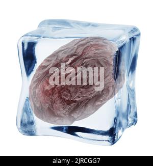 raisins secs dans un cube de glace, isolés sur fond blanc, chemin d'écrêtage, pleine profondeur de champ Banque D'Images