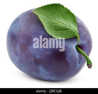 Plum isolé sur fond blanc, chemin de détourage, pleine profondeur de champ Banque D'Images