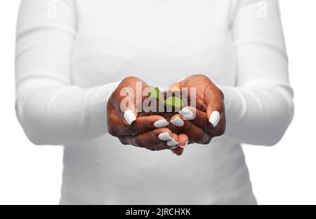 Woman holding plant growing in poignée de terre Banque D'Images