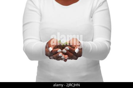 Woman holding plant growing in poignée de terre Banque D'Images