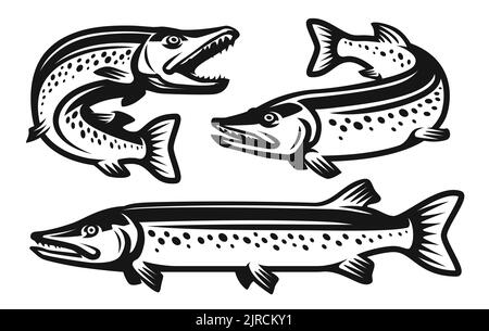 Ensemble de poisson à brochet. Symbole ou logo pêche, fruits de mer. Illustration vectorielle de style monochrome isolée sur fond blanc Illustration de Vecteur