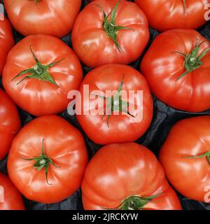 Im Bältigen (Solanum lycopersicum) im Gemüsegeschäft Banque D'Images