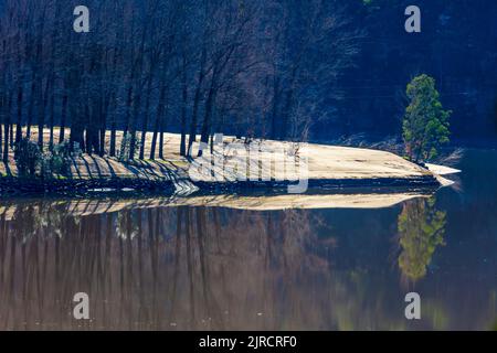 Photographie d'arbres se reflétant dans la rivière Hawkesbury lors des inondations en Nouvelle-Galles du Sud en Australie Banque D'Images