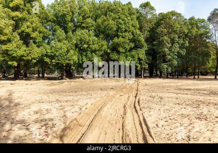 Photographie des dommages dans la réserve du parc Wisemans Ferry après de graves inondations dans la rivière Hawkesbury, dans le canton de Wisemans Ferry, en Nouvelle-Galles du Sud Banque D'Images