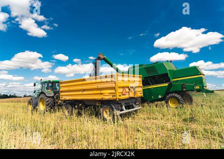 Deux machines agricoles - moissonneuse-batteuse et tracteur avec remorque - debout sur un champ de récolte. Déchargeur de la moissonneuse-batteuse versant du colza dans la remorque jaune. Photo de haute qualité Banque D'Images