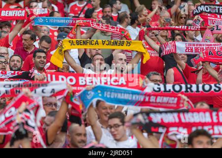 Lisbonne, Portugal. 23 août 2022. Lisbonne, Portugal. Supporters de Benfica lors du match de la coupe 2nd des éliminatoires pour la Ligue des champions de l'UEFA, Benfica vs Dynamo Kyiv crédit: Alexandre de Sousa/Alay Live News Banque D'Images