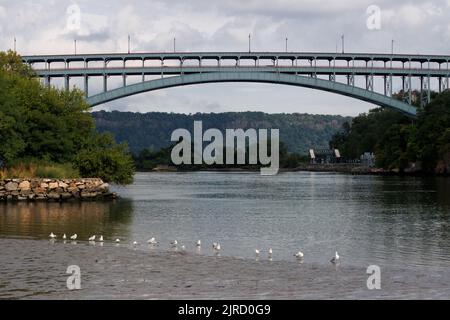 Pont Henry Hudson au-dessus du ruisseau Spuyten Duyvil reliant Manhattan au Bronx un matin nuageux, les mouettes se sont enjambées dans une rangée au bord de l'eau Banque D'Images