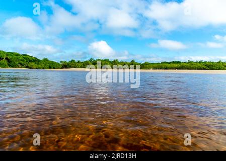 Eau rougeâtre d'une rivière contre la forêt et ciel bleu en arrière-plan. Plage de Guaibim, côte de la mer de Bahia, Brésil Banque D'Images