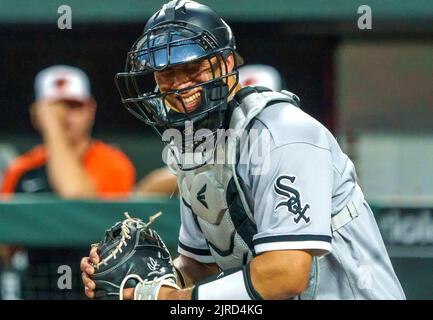 Baltimore, États-Unis. 23rd août 2022. BALTIMORE, MD - AOÛT 23: Chicago White Sox Catcher Seby Zavala (44) regarde le banc lors d'un jeu de MLB entre les Orioles de Baltimore et le Chicago White Sox, sur 23 août 2022, à Orioles Park à Camden yards, à Baltimore, Maryland. (Photo de Tony Quinn/SipaUSA) crédit: SIPA USA/Alay Live News Banque D'Images