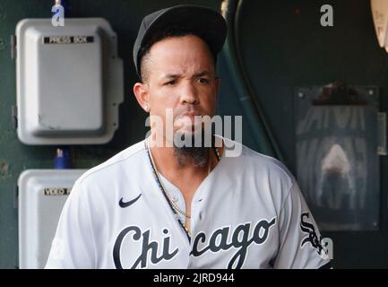 Baltimore, États-Unis. 23rd août 2022. BALTIMORE, MD - AOÛT 23 : le premier baseman de Chicago White Sox José Abreu (79) avant un match de MLB entre les Orioles de Baltimore et le Sox blanc de Chicago, sur 23 août 2022, au parc Orioles à Camden yards, à Baltimore, Maryland. (Photo de Tony Quinn/SipaUSA) crédit: SIPA USA/Alay Live News Banque D'Images