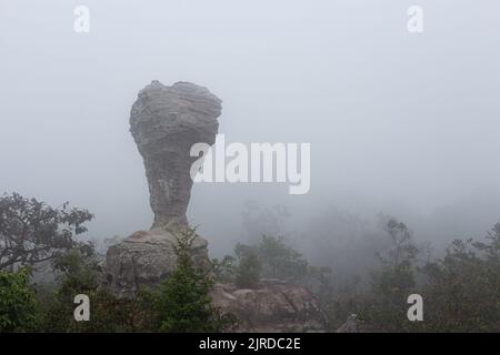 L'étrange pierre ( ressemble à une coupe de trophée ) avec la brume le matin au parc national de Pa Hin Ngam . Chaiyaphum , Thaïlande . Banque D'Images