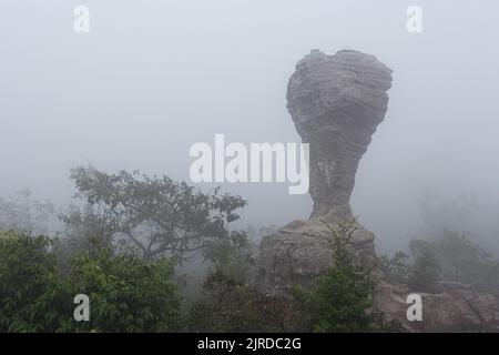 L'étrange pierre ( ressemble à une coupe de trophée ) avec la brume le matin au parc national de Pa Hin Ngam . Chaiyaphum , Thaïlande . Banque D'Images