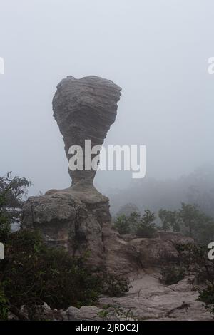 L'étrange pierre ( ressemble à une coupe de trophée ) avec la brume le matin au parc national de Pa Hin Ngam . Chaiyaphum , Thaïlande . Banque D'Images