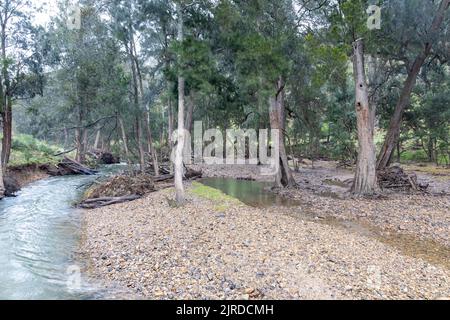 Rivière Abercrombie dans le parc national de la rivière Abercrombie, Nouvelle-Galles du Sud, Australie par une journée hivernale Banque D'Images