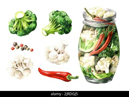 Brocoli en conserve. Illustration aquarelle dessinée à la main, isolée sur fond blanc Banque D'Images