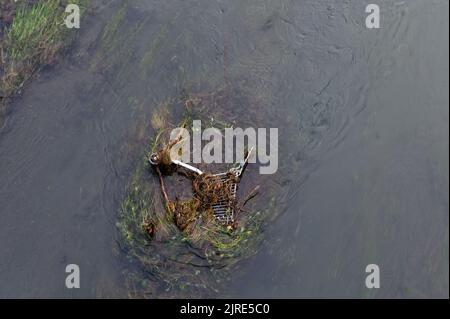 Un chariot commercial a été jeté dans l'eau et laissé pour polluer ses environs. Banque D'Images