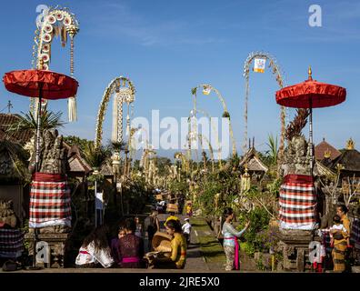 Les Penjors sont élevés pour 7 jours pour la Journée Galungan à Bali. Banque D'Images