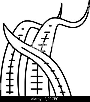 cryptocoryne balansae illustration vectorielle de l'icône de la ligne Illustration de Vecteur