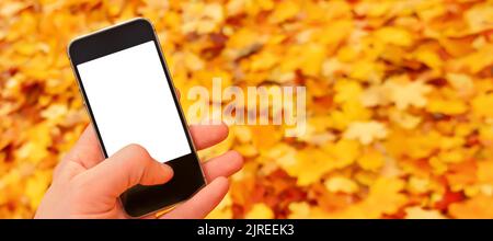 Maquette mobile vierge smartphone écran vierge téléphone portable nature bannière d'automne. Chute feuilles automne mobile mockup main tenant la nature de smartphone Banque D'Images